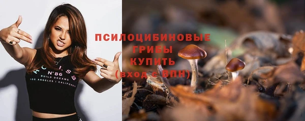 тгк Беломорск