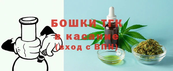 сатива Богородицк