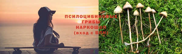 тгк Беломорск