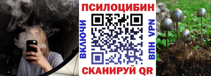 где купить   Кирсанов  Псилоцибиновые грибы мицелий 